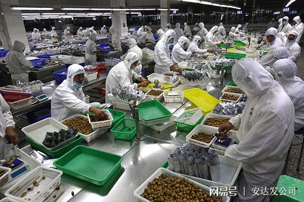 浅谈食品加工厂对aps高级排产的运用|分厂_网易订阅