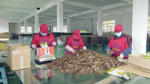 凤冈 年货市场旺 企业生产销售忙